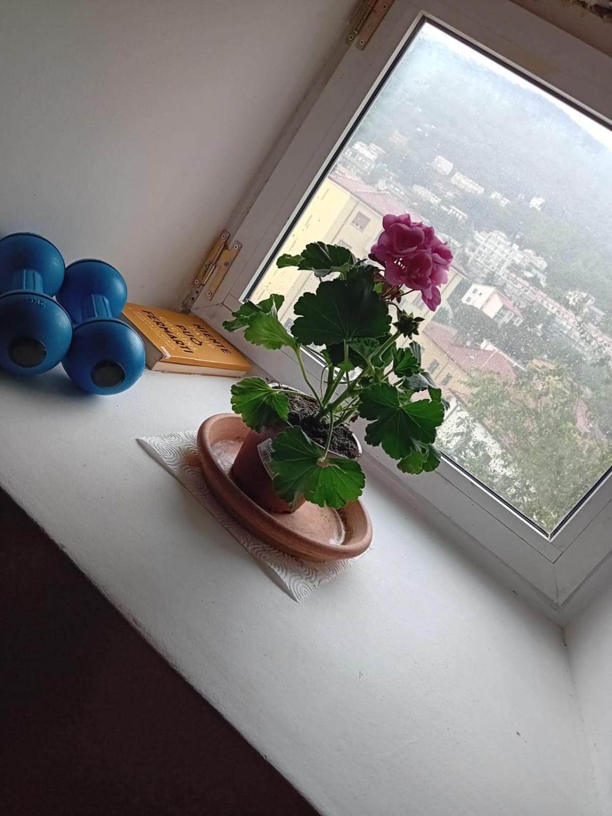 Antonini Apartments Триест Екстериор снимка